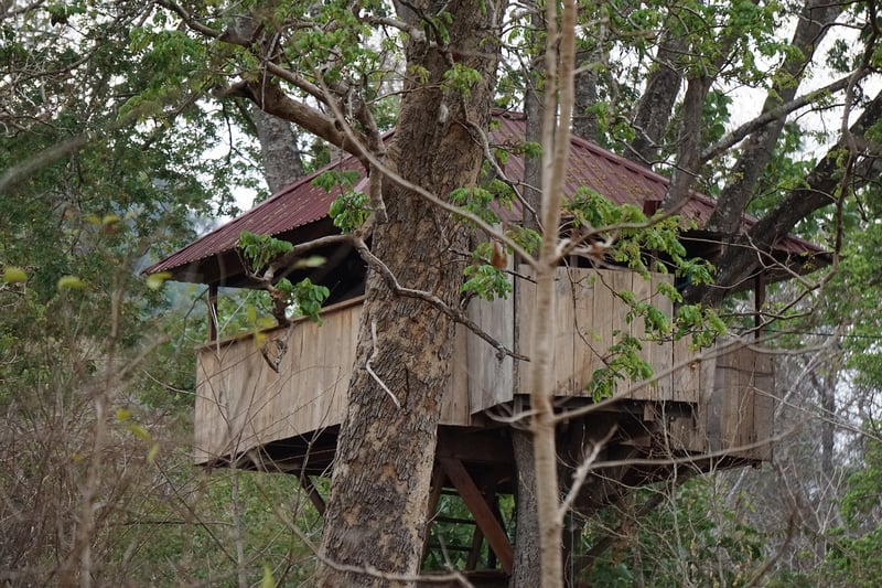 Treehouse in the woods