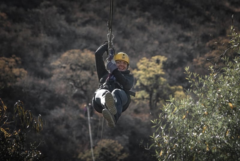Zip Lining through a forest